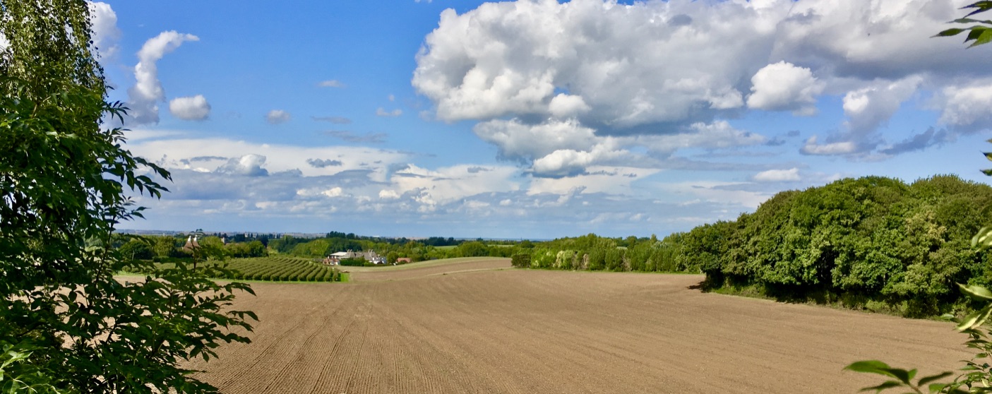 field and village